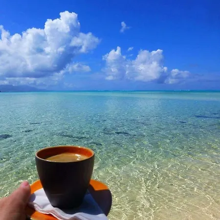 Ekolojik Tatil Koeyue Cesme